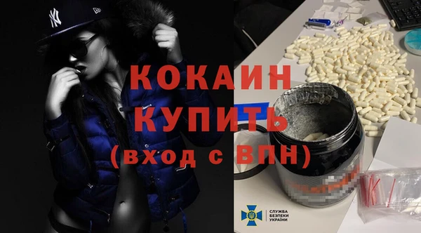 стафф Вязьма