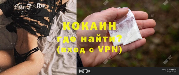 стафф Вязьма