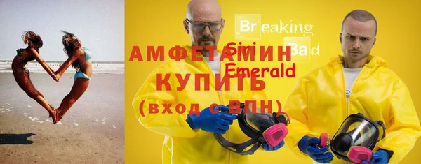 спиды Вяземский