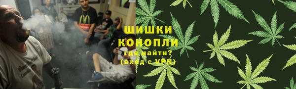 спиды Вяземский