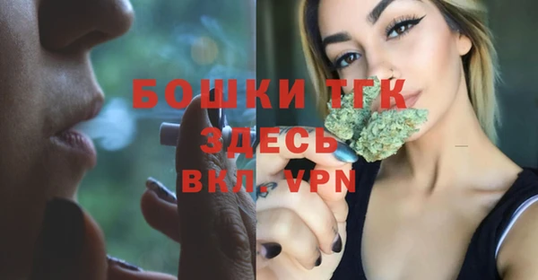 спиды Вяземский