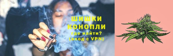 спиды Вяземский