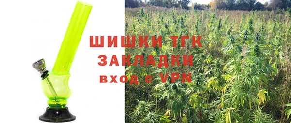 стафф Вязьма