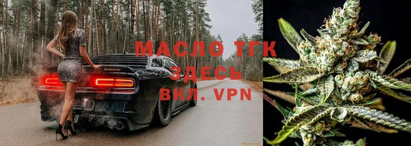 спиды Вяземский