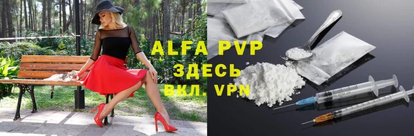стафф Вязьма